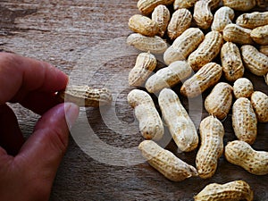 Peanut open shell on group of peanuts close shell
