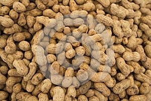Peanut. Peanuts background. Peanuts seed. Brown peanuts.