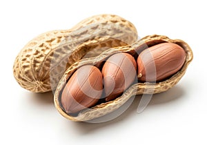 Peanut pod with three kernels isolated on white background
