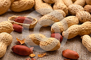 Peanut. Roasted peanuts in shell on burlap