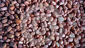 Peanut seeds piled up in the background top view high angle close up