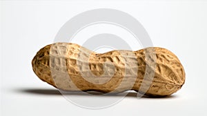 peanut in shell groundnut nut.