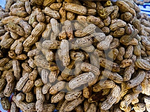 Peanut in a shell texture. food background of peanuts