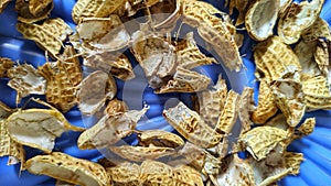 Peanut shells on blue background