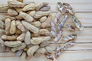 Peanut on wooden floor