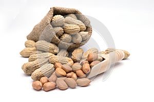 Peanut in wooden spoon on white background