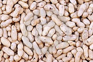 Peanuts
