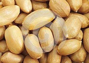 Peanuts, arachis hypogaea