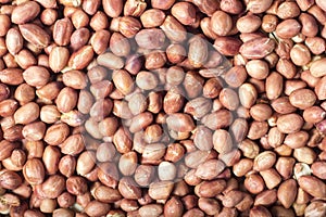 Peanuts background texture