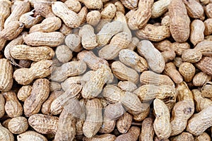 Peanuts or groundnuts in shell