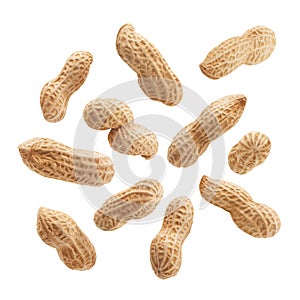 Peanuts isolated on white background