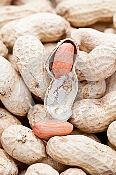 Peanuts, know also as monkey nuts