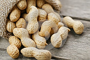 Peanuts in a miniature burlap bag on old, gray wooden surface