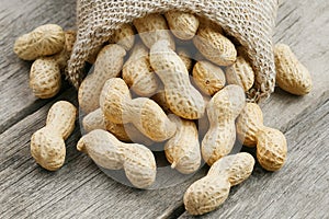 Peanuts in a miniature burlap bag on old, gray wooden surface