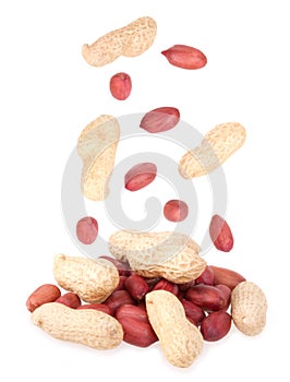 Peanuts nuts