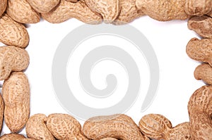 Peanuts in a peel on a white background isolate