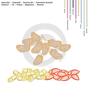 Peanuts Pods with Vitamin B3, B9, B1, B5 and E