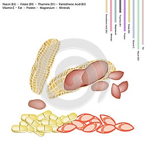 Peanuts Pods with Vitamin B3, B9, B1, B5 and E