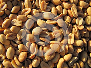 Peanuts. Roasted Salted Peanuts. Arachis hypogaea