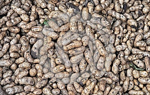 Peanuts for sale on market