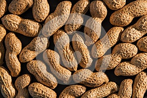 Peanuts seed