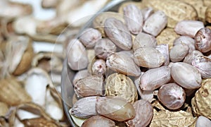 Peanuts seed placed on Peanuts