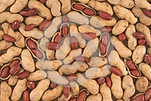 Peanuts seed placed on Peanuts.