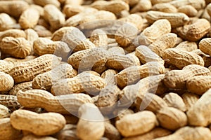 Peanuts in the shell