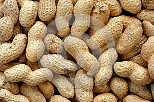Peanuts in shell