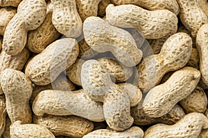 Peanuts in shell Full Frame Top View