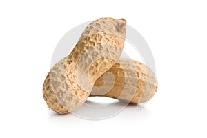 Peanuts in shell. Groundnuts isolated on white background