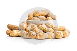 Peanuts in shell. Groundnuts isolated on white background