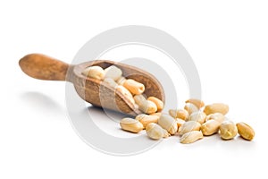 Peanuts in shell. Groundnuts in scoop isolated on white background