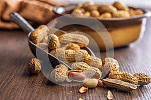 Peanuts in shell. Groundnuts in scoop on wooden table