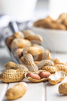 Peanuts in shell. Groundnuts on white table
