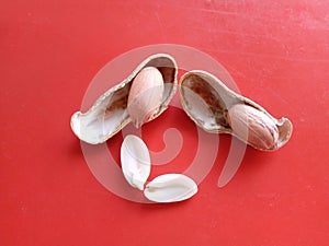 Peanuts with shell on a red background