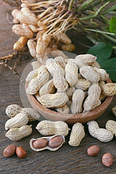 Peanuts in shells