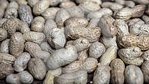 Peanuts in shells,close-up.