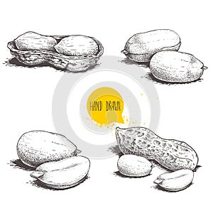 Peanuts sketch set. Hand drawn retro style vector illustrations of organic food. Seeds and shells. Single and group. Vintage engra