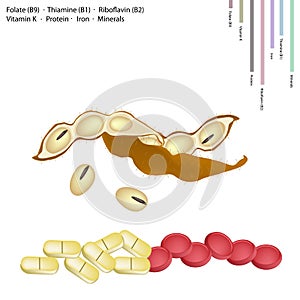 Peanuts with Vitamin B9, B1, B2 and K