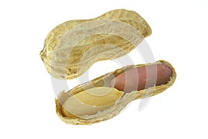 Peanuts on a white background.nuts,bean,pea,haricot