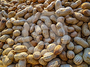 Peanuts. World`s abundance. Fruits and vegetables market in the Chinese district in Ne York, United States of America.