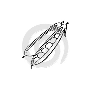 Peapod hand drawn sketch icon.