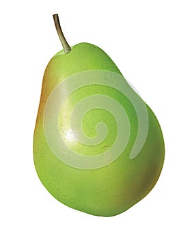 Pear photo