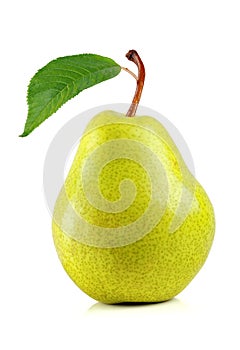 pear photo