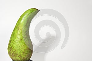 Pear conference, beautifully curved, with short stalk, green peel with many gray-brown spots. drops shadow on white background.