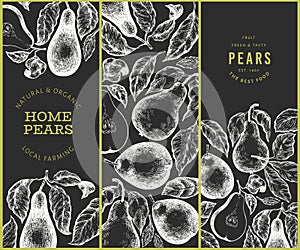 Pear design set. Hand drawn vector garden fruit illustration on chalk board. Engraved style garden retro botanical banner
