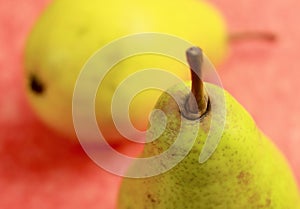 Pear detail