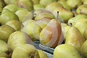 Pear Display in Farmer's Market