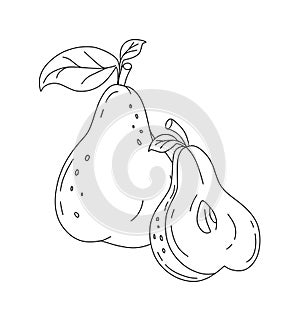 Pear doodle Vector illustration coloring book for kids